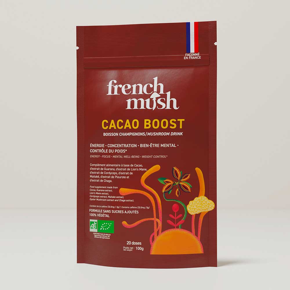 Le champignon Chaga