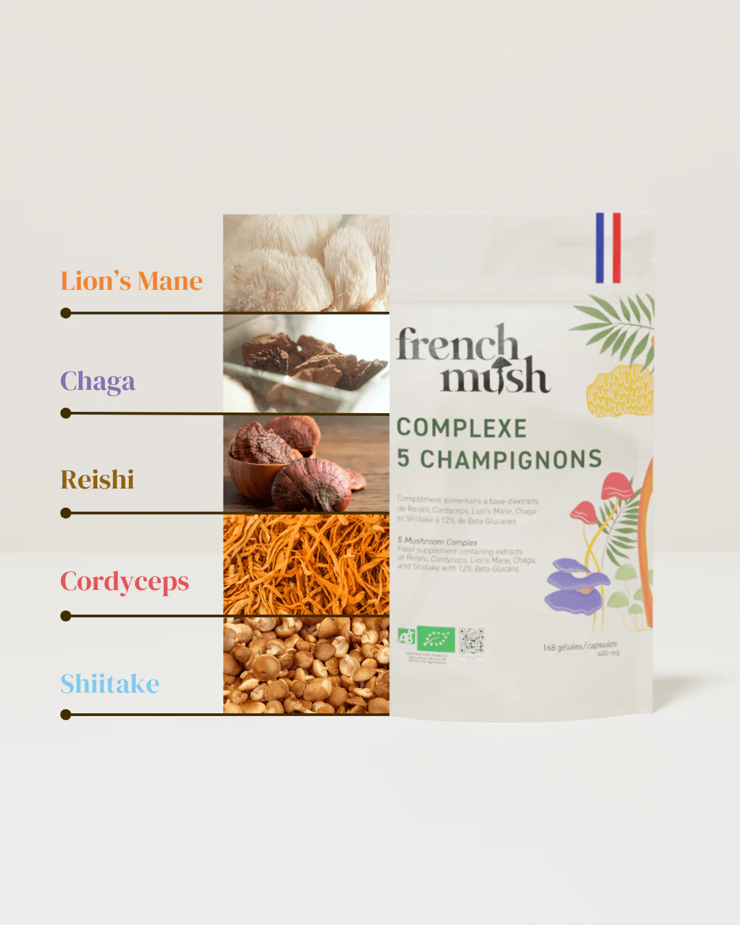 Complexe 5 Champignons Bio - Image 3