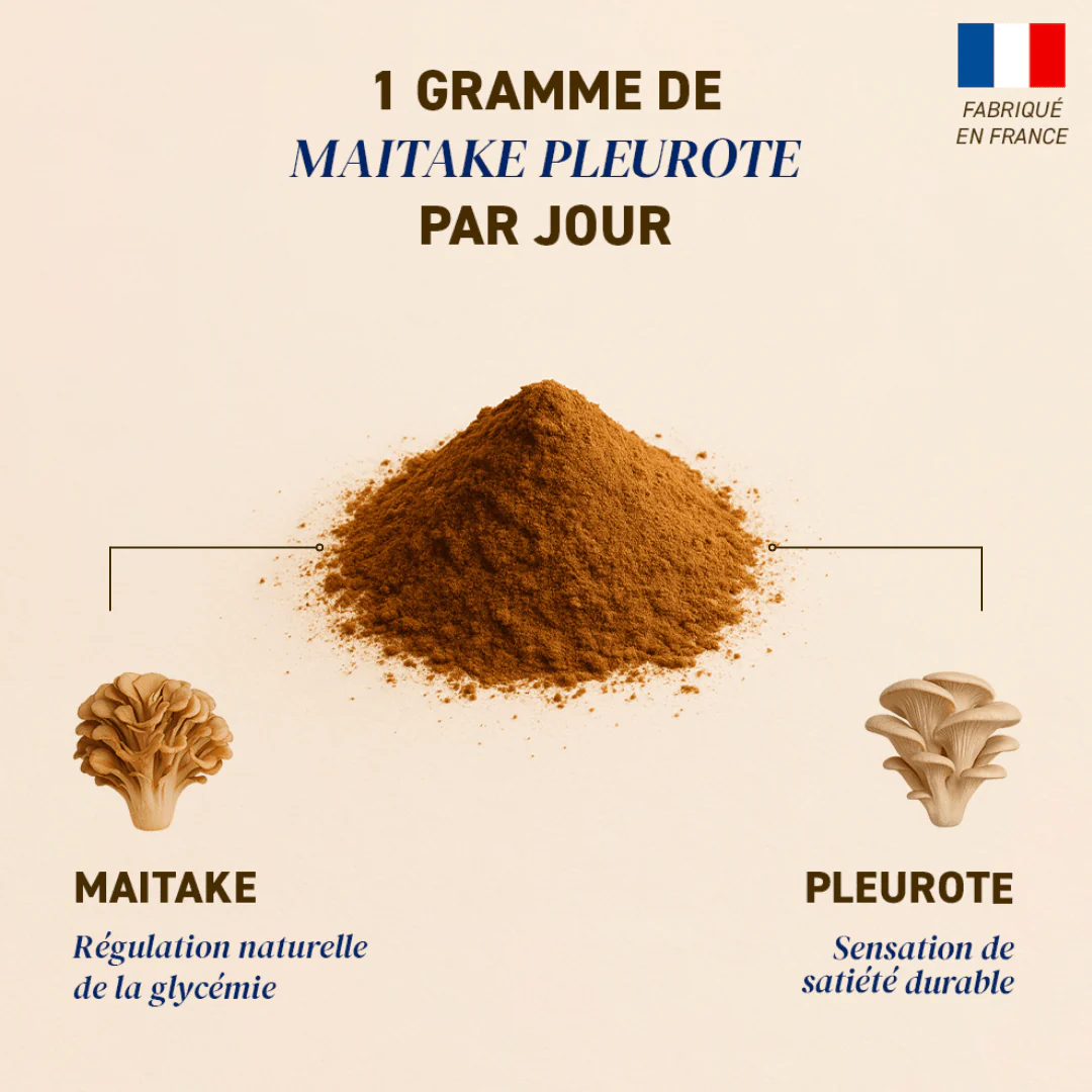 Duo Maïtake Pleurote Bio - Image 2