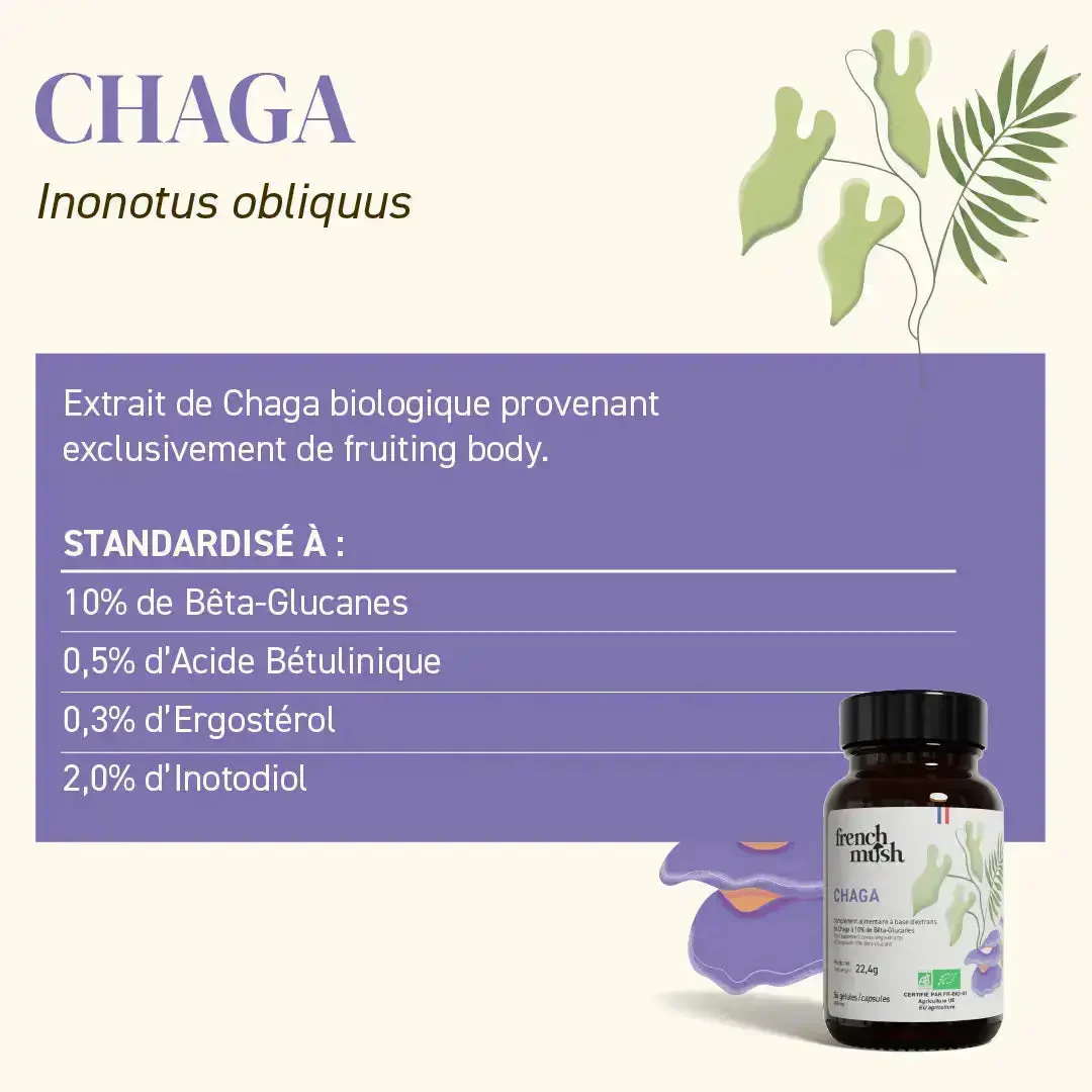 Complexe Champignons 5 - Chaga Bio - Image 6