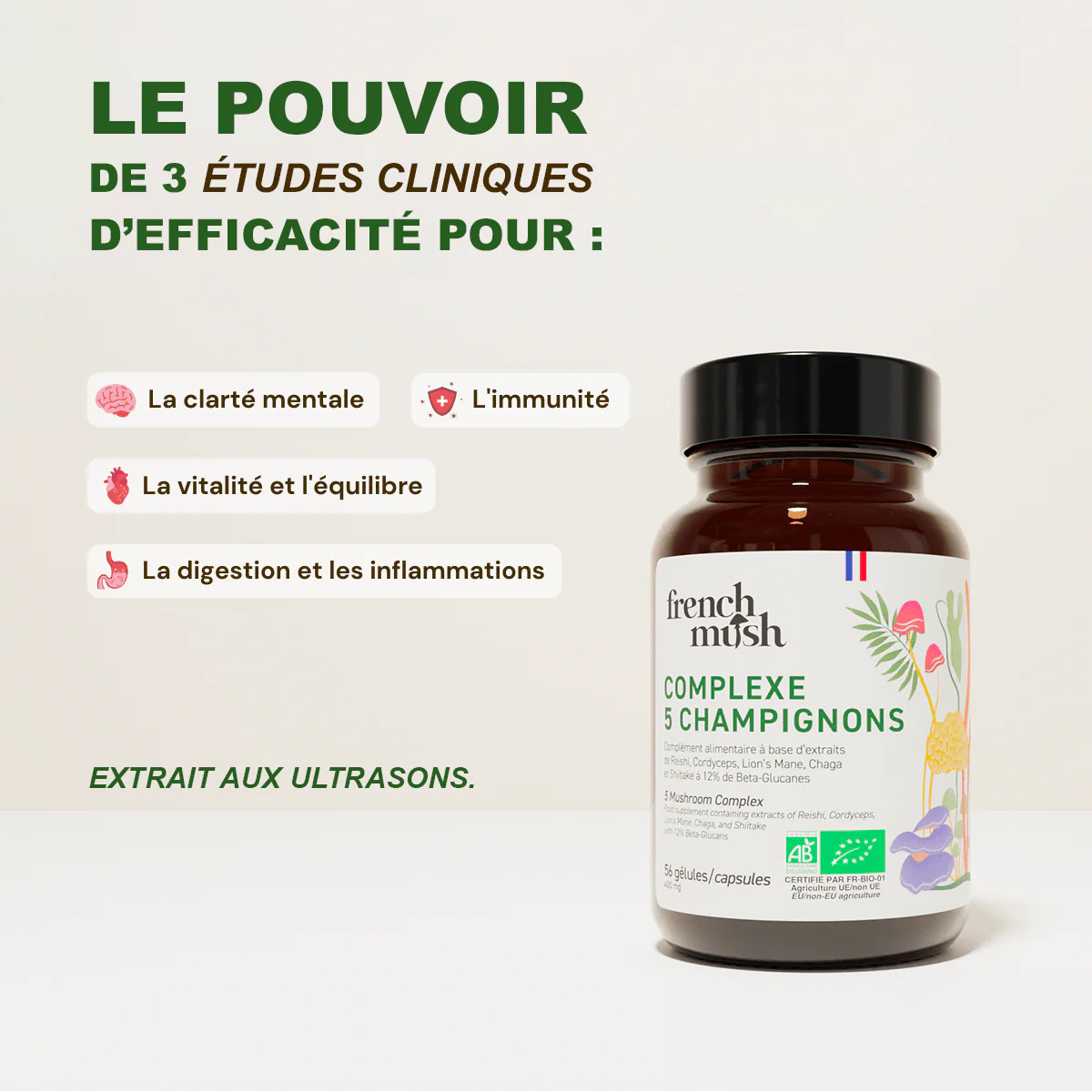 Le Pack Best Seller - Image 4