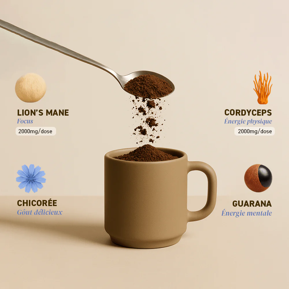 Pack Boost Chicorée & Cacao - Image 3