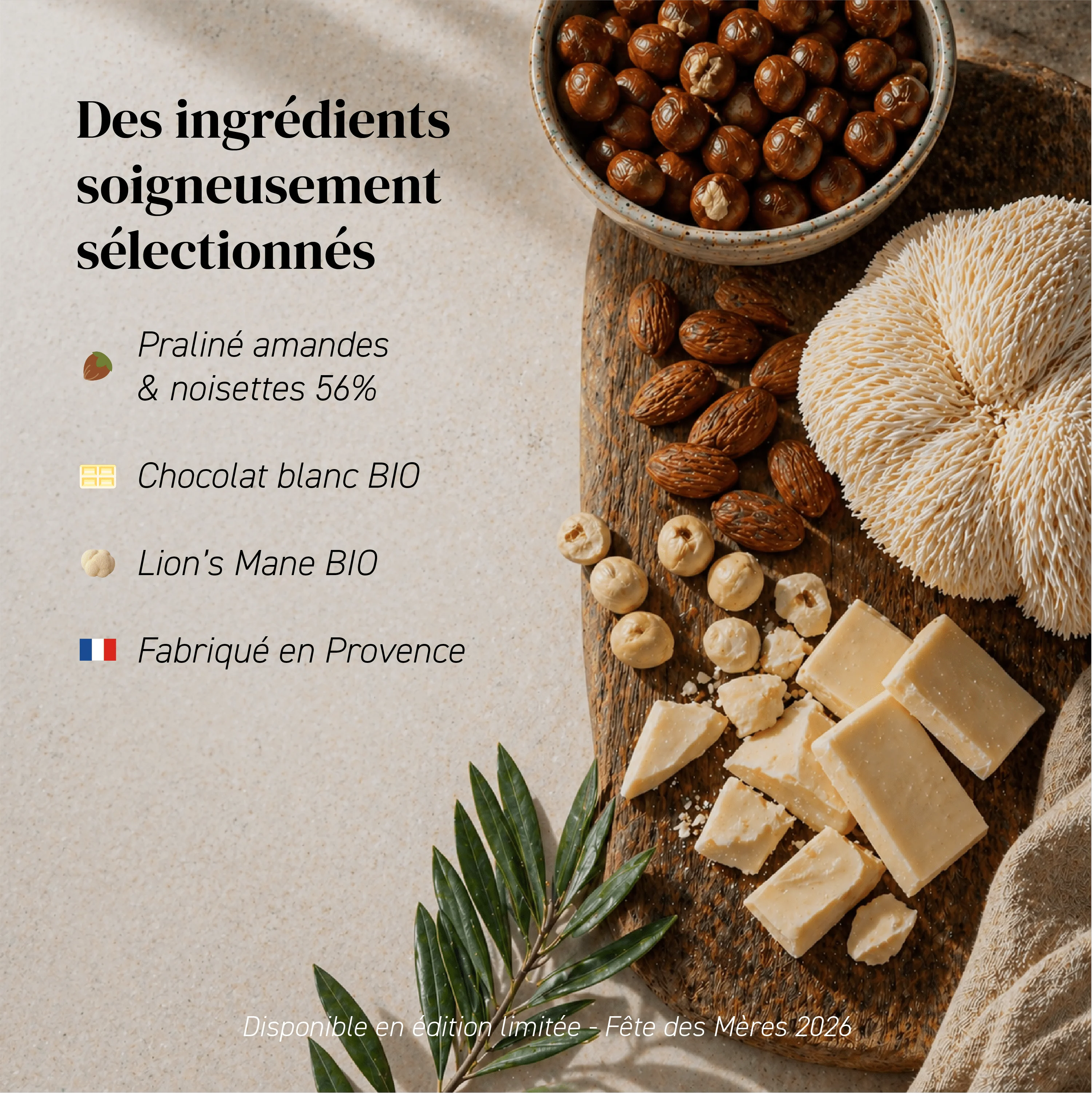 Pâte à tartiner Choco-Lion’s Mane - Image 3
